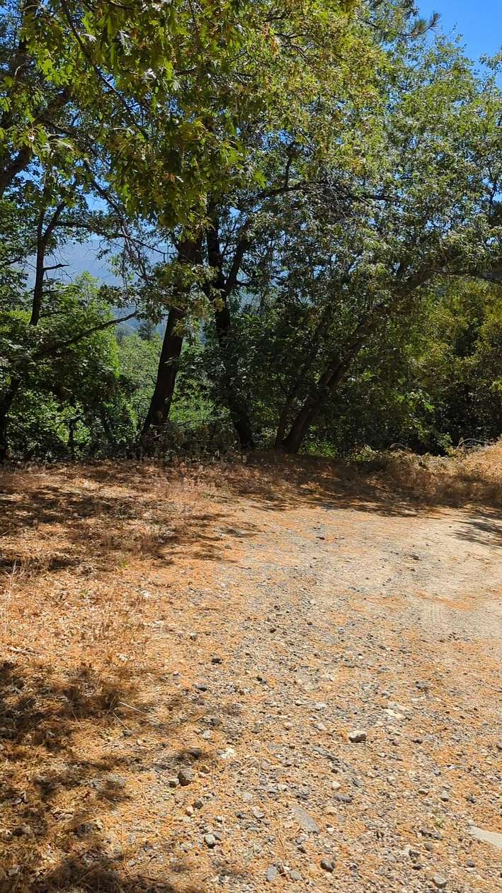 Land for Sale in Cedar Glen, California