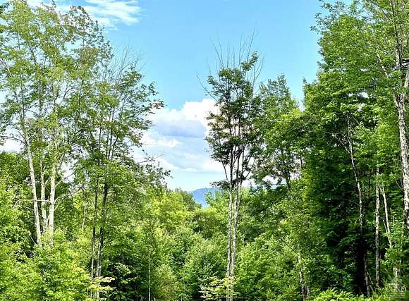 2.6 Acres of Residential Land for Sale in Jewett, New York