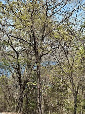 0.36 Acres of Residential Land for Sale in Blue Eye, Missouri