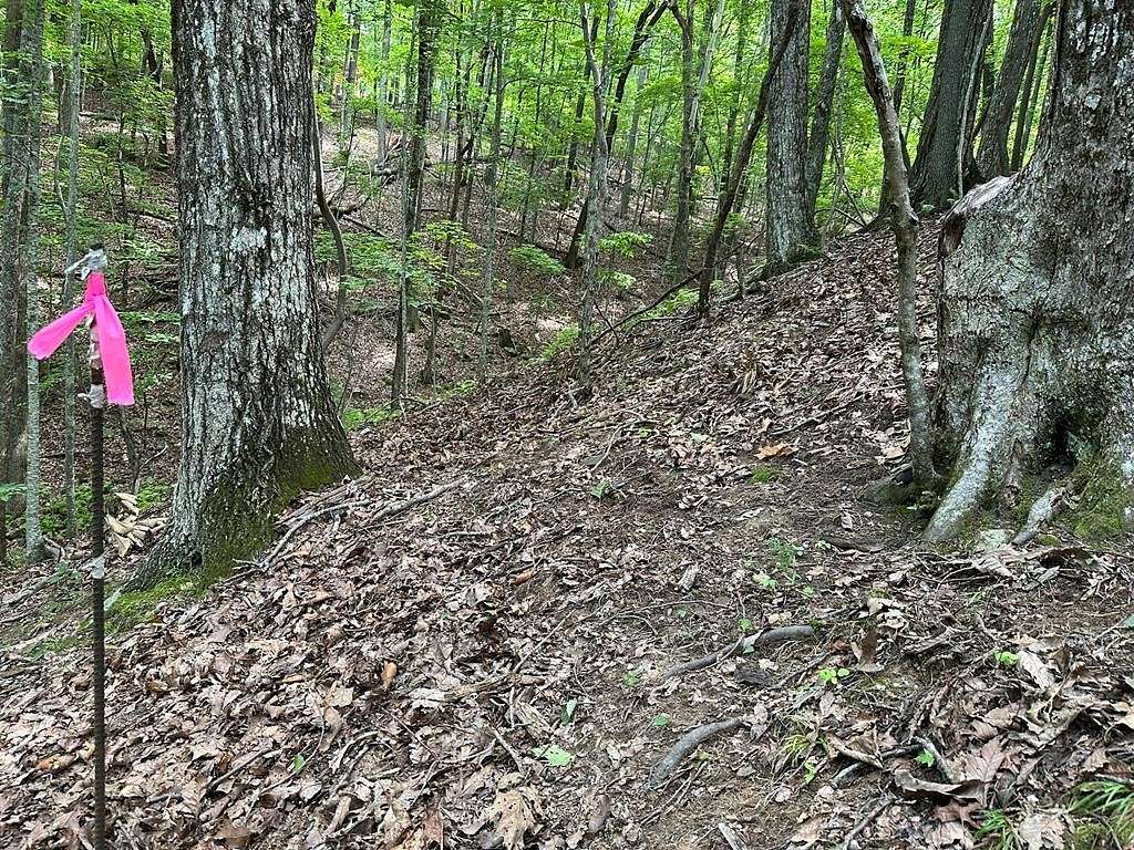 1.55 Acres of Residential Land for Sale in Morganton, Georgia