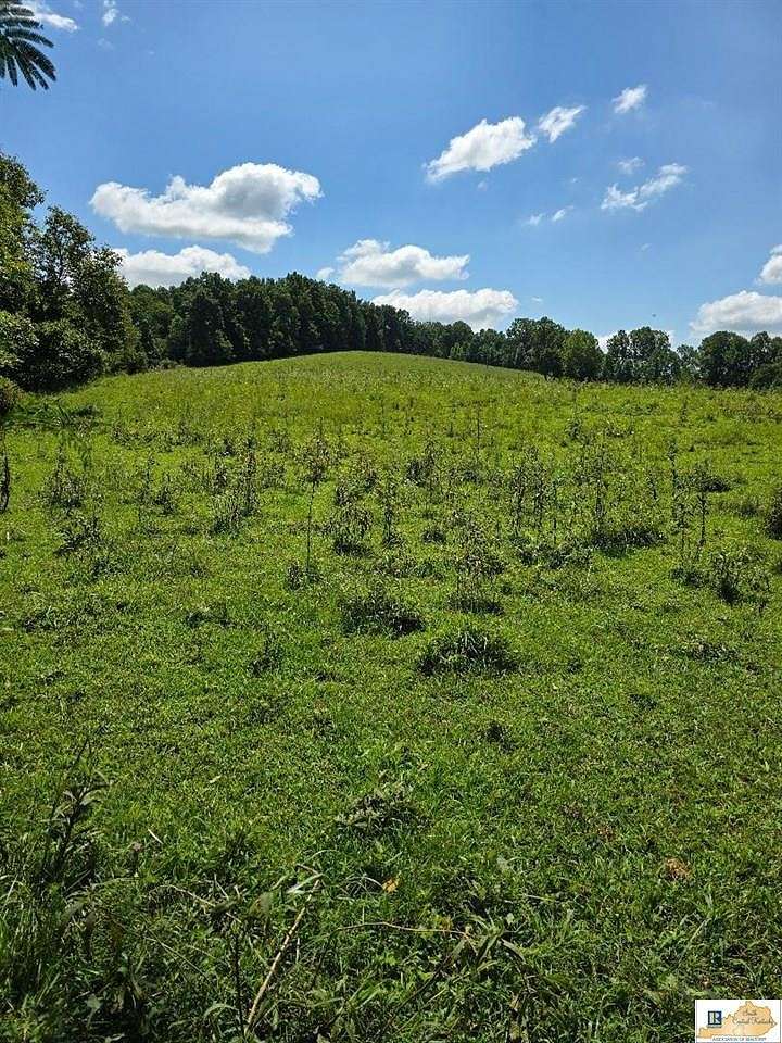 5 Acres of Residential Land for Sale in Columbia, Kentucky