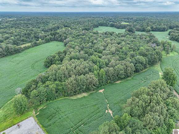 48 Acres of Land for Sale in Hickory, Kentucky