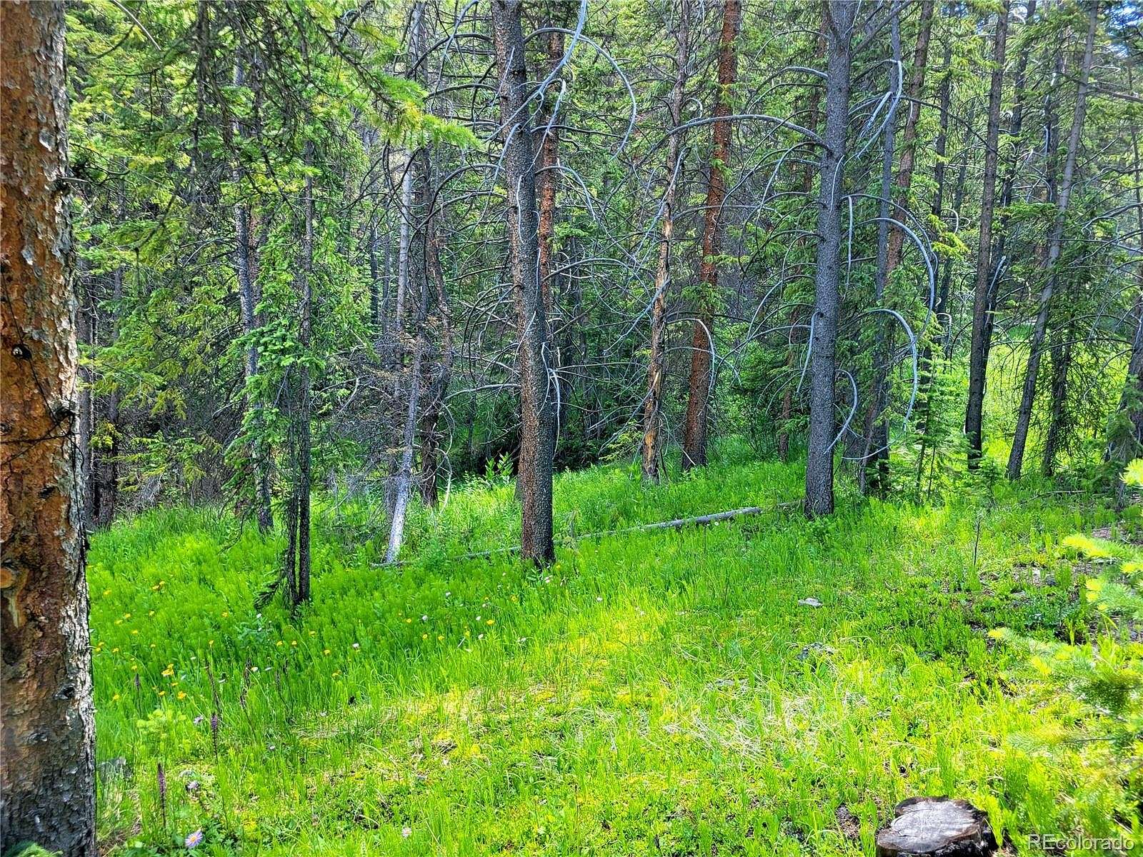 10.2 Acres of Recreational Land for Sale in Leadville, Colorado