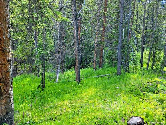 10.2 Acres of Recreational Land for Sale in Leadville, Colorado