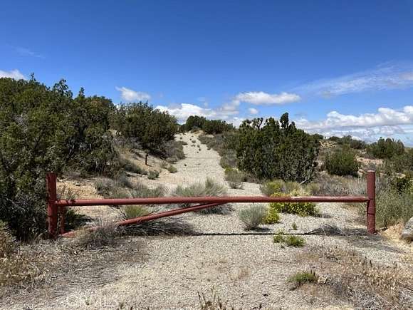 9.747 Acres of Land for Sale in Juniper Hills, California