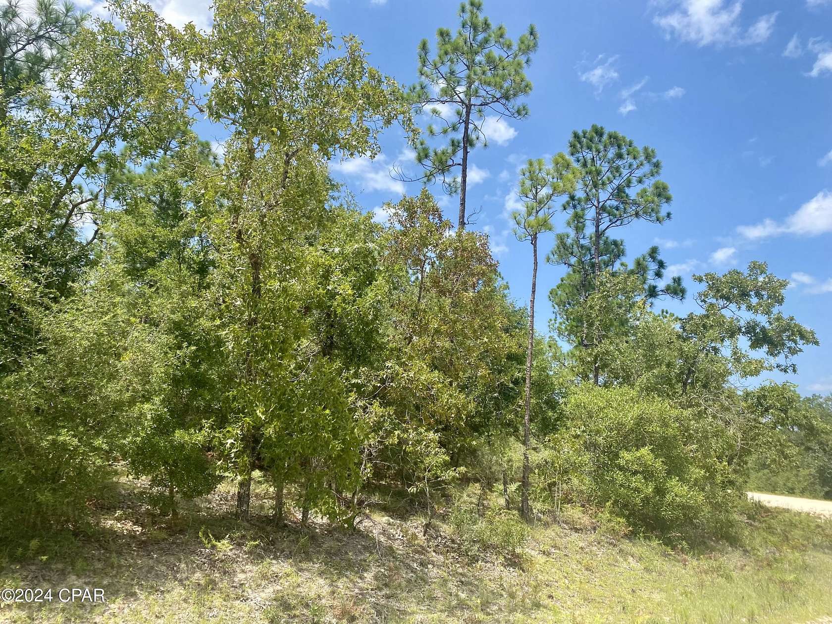 1.1 Acres of Residential Land for Sale in Alford, Florida