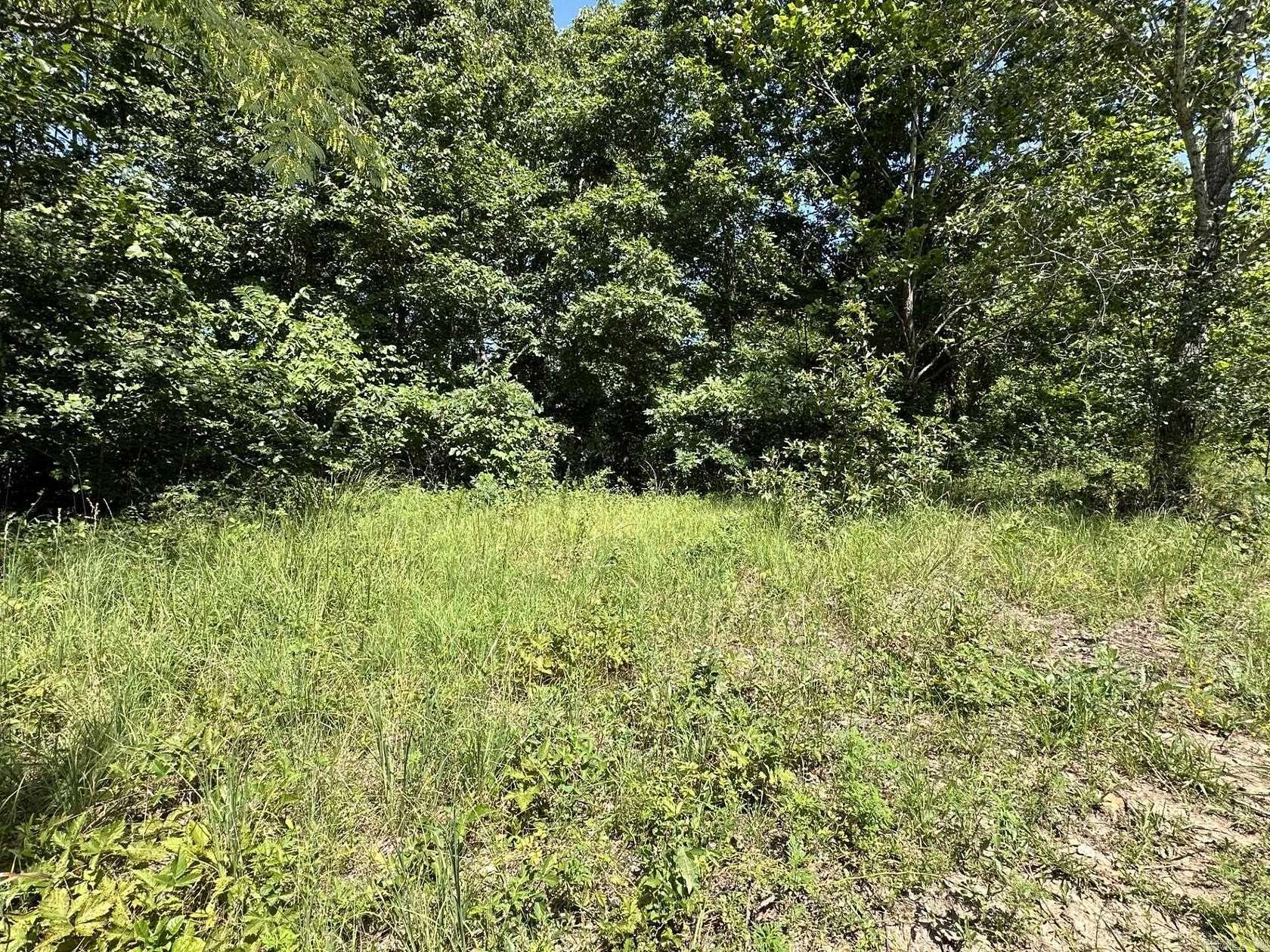 1.02 Acres of Land for Sale in Harriet, Arkansas