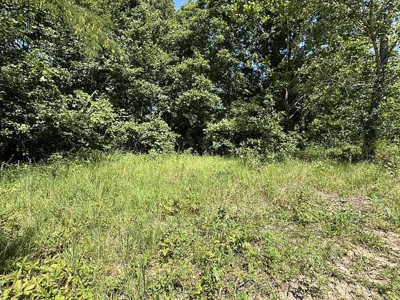 1.02 Acres of Land for Sale in Harriet, Arkansas