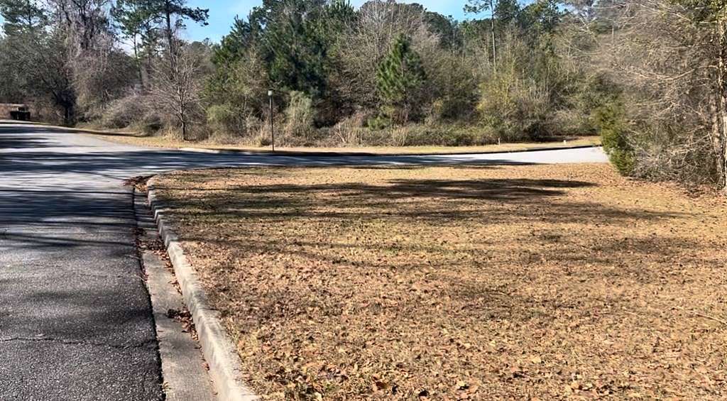 0.45 Acres of Residential Land for Sale in Naylor, Georgia