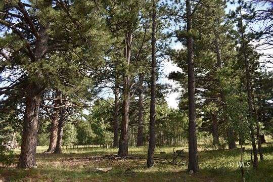 0.92 Acres of Residential Land for Sale in Westcliffe, Colorado