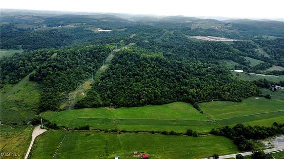 78.32 Acres of Recreational Land & Farm for Sale in Quaker City, Ohio