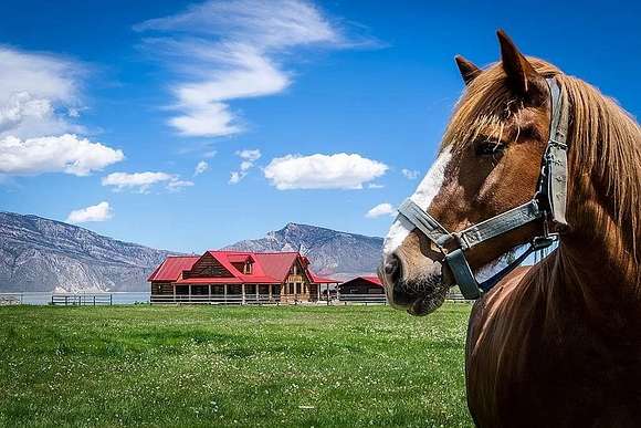 15 Acres of Land with Home for Sale in Cody, Wyoming