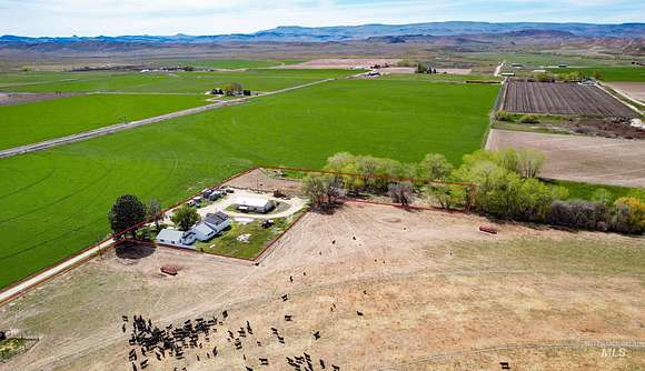 4 Acres of Residential Land with Home for Sale in Homedale, Idaho