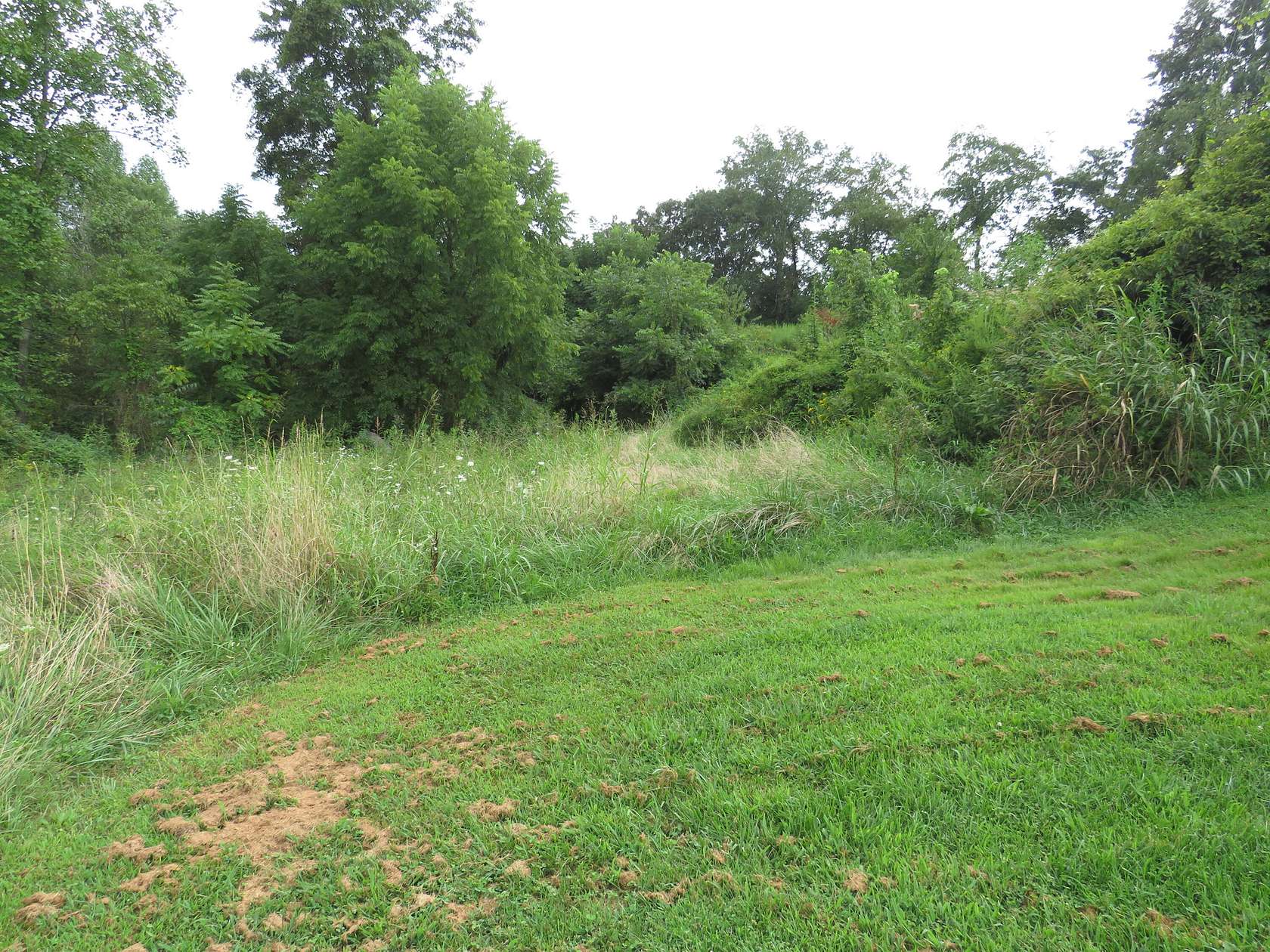 2.89 Acres of Residential Land with Home for Sale in McKee, Kentucky