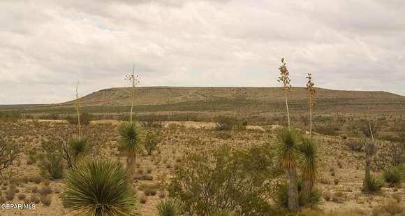 20.01 Acres of Agricultural Land for Sale in Sierra Blanca, Texas