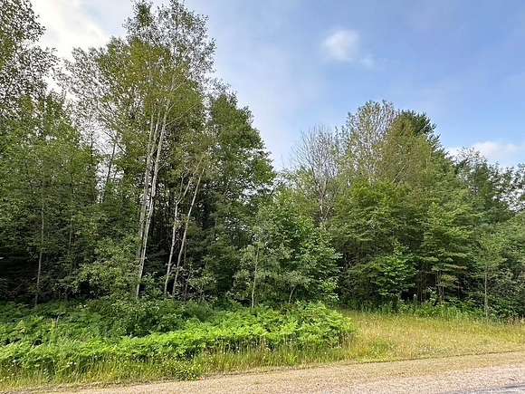 20.2 Acres of Recreational Land for Sale in Rhinelander, Wisconsin