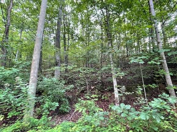 0.39 Acres of Residential Land for Sale in Sevierville, Tennessee