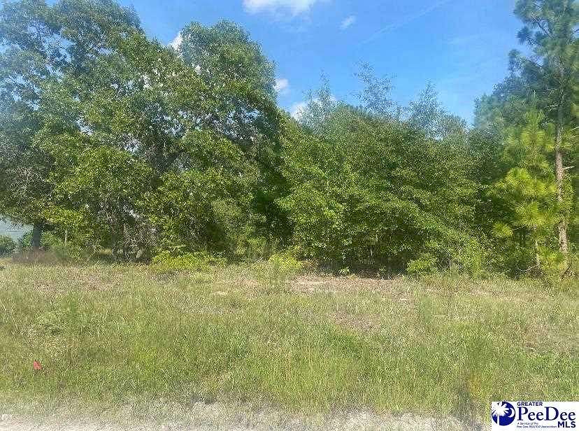 0.14 Acres of Residential Land for Sale in Dillon, South Carolina