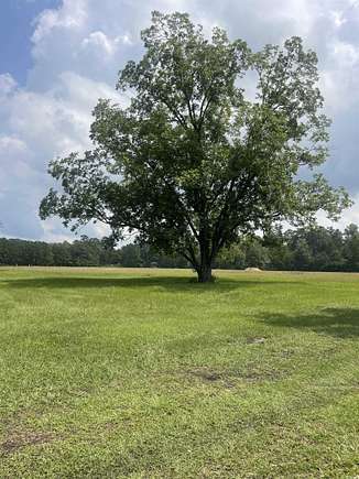 3.03 Acres of Residential Land for Sale in Loris, South Carolina