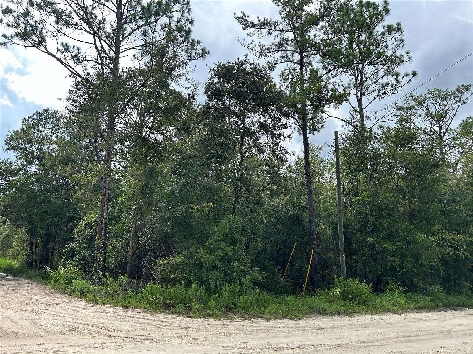 10 Acres of Agricultural Land for Sale in Bronson, Florida