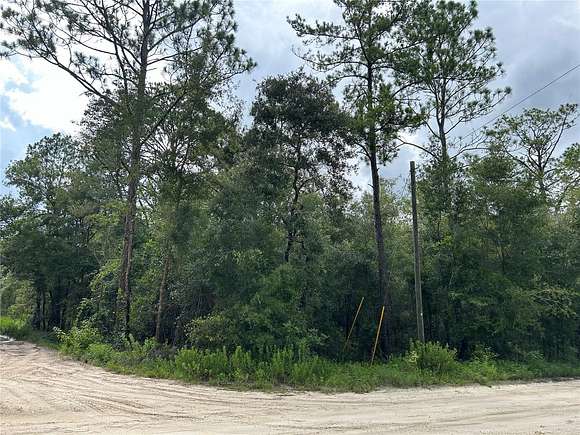 10 Acres of Agricultural Land for Sale in Bronson, Florida