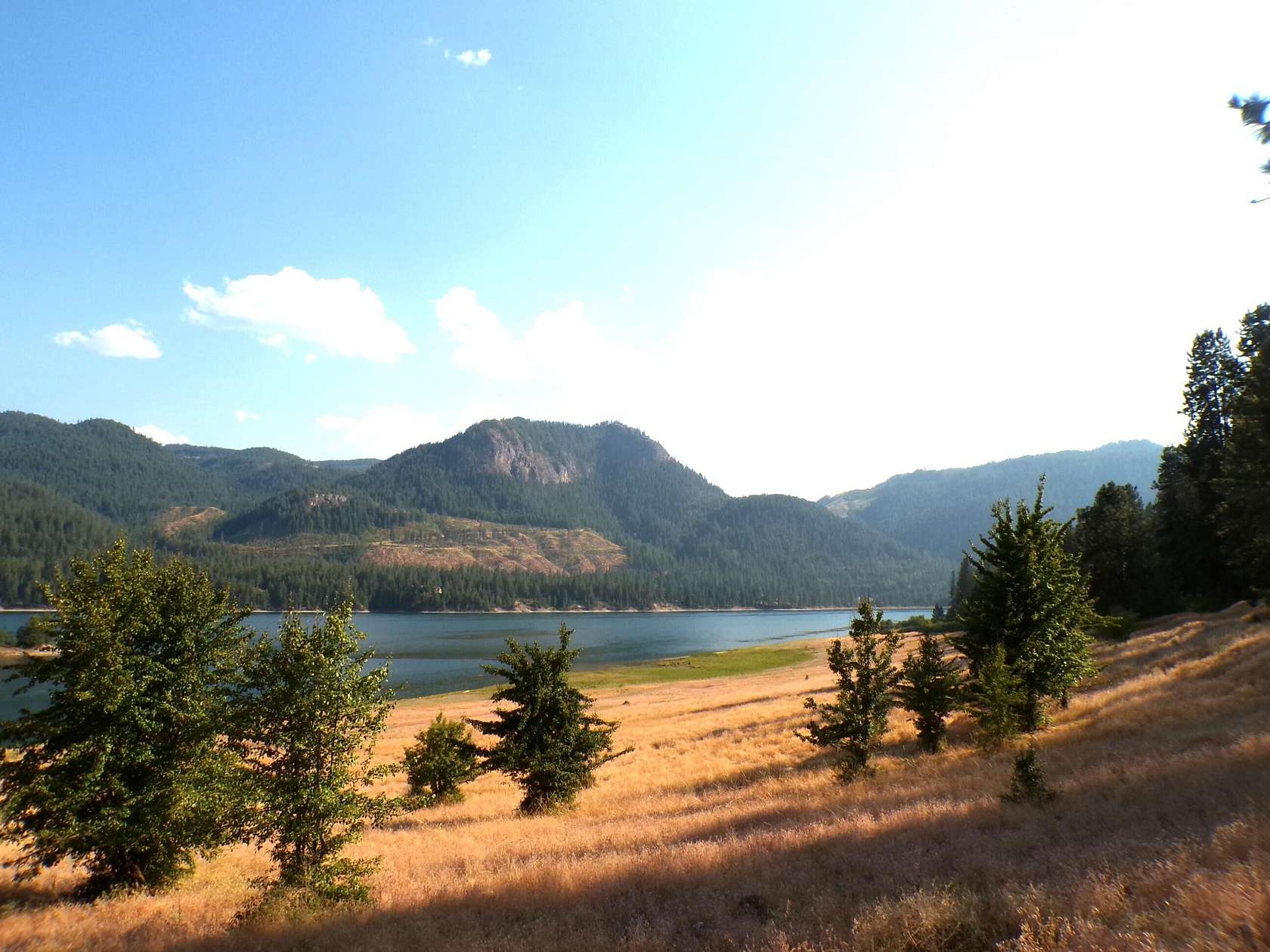 34.33 Acres of Recreational Land for Sale in Kettle Falls, Washington ...