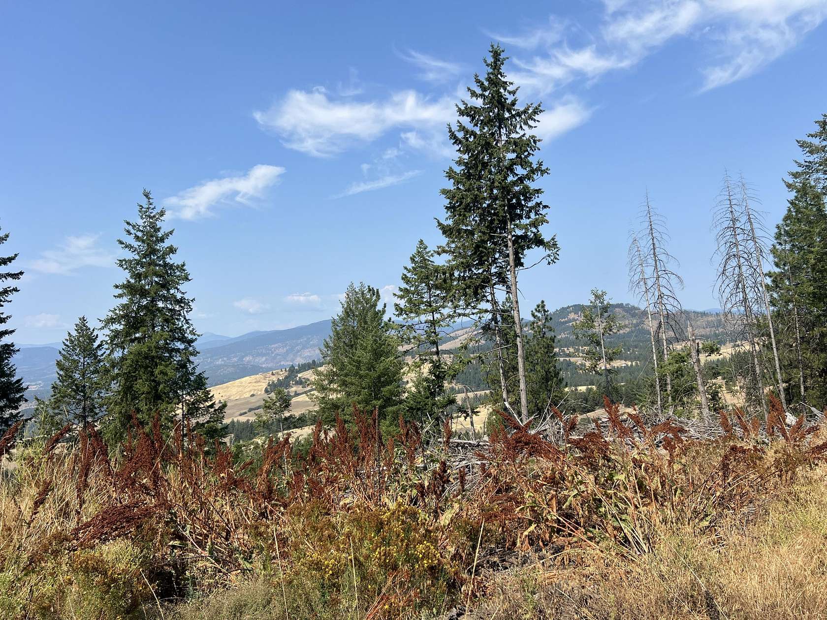 68 Acres of Land for Sale in Colville, Washington