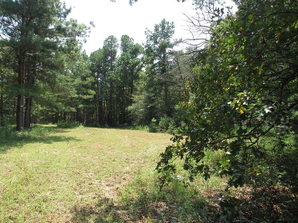 13.72 Acres of Recreational Land for Sale in Neches, Texas