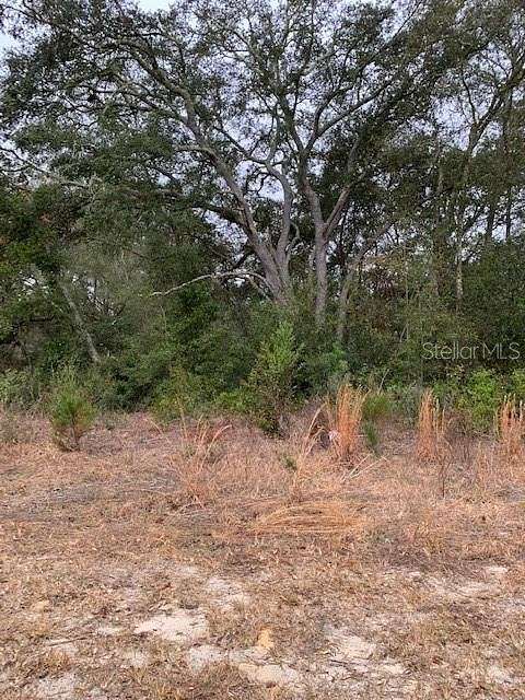 0.99 Acres of Residential Land for Sale in Dunnellon, Florida