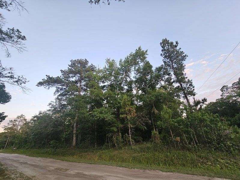 1.1 Acres of Residential Land for Sale in Hastings, Florida