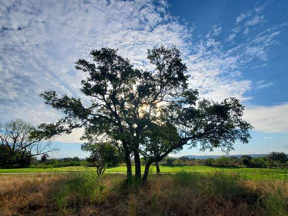 0.5 Acres of Residential Land for Sale in Kingsland, Texas