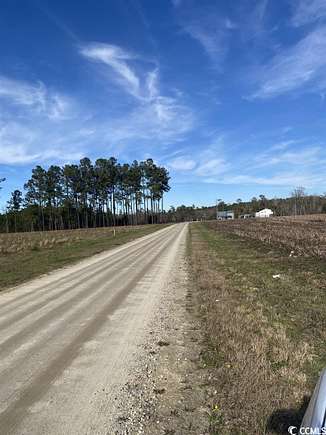 1 Acre of Residential Land for Sale in Salters, South Carolina