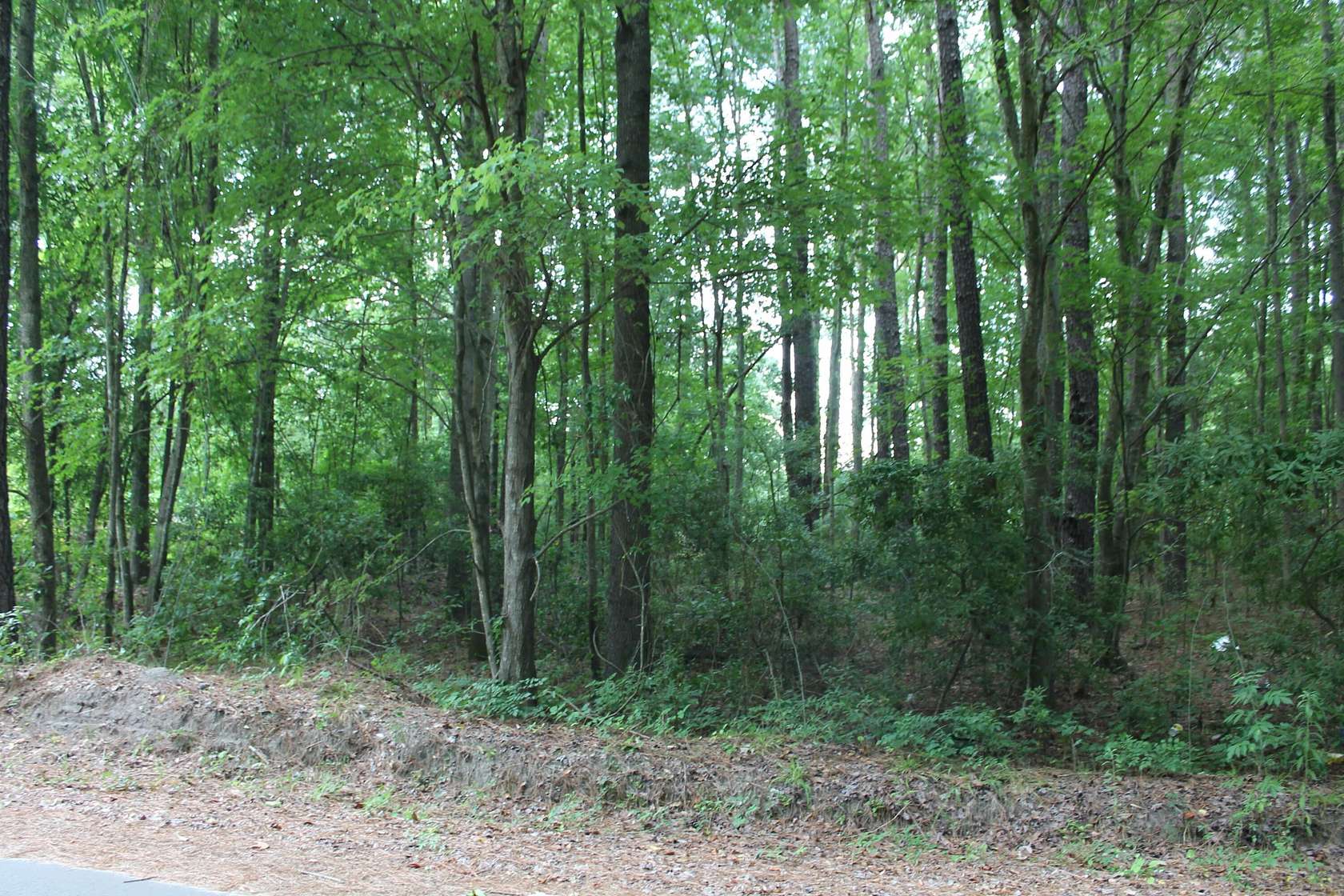 0.85 Acres of Residential Land for Sale in Santee, South Carolina