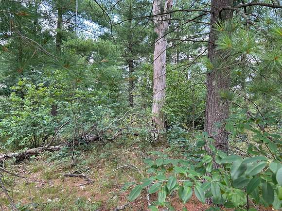 0.33 Acres of Land for Sale in Idlewild, Michigan