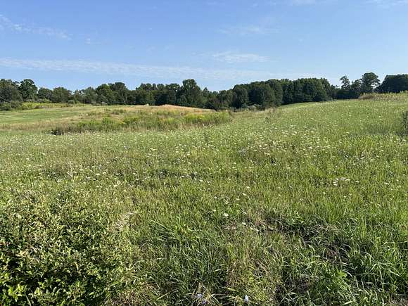 5.61 Acres of Residential Land for Sale in Fountain, Michigan