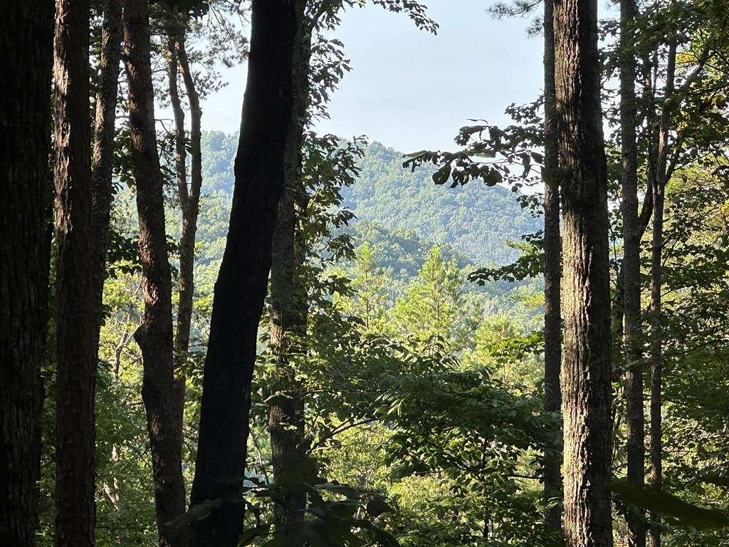 8.54 Acres of Residential Land for Sale in Ellijay, Georgia