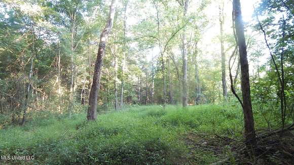 6.27 Acres of Land for Sale in Byhalia, Mississippi