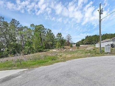 0.29 Acres of Residential Land for Sale in Kissimmee, Florida