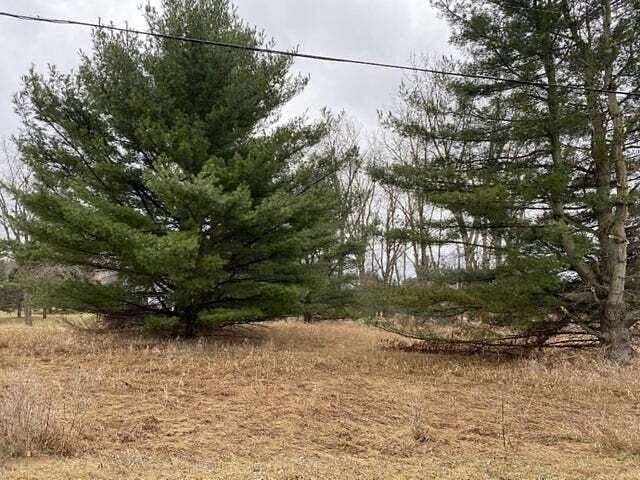 0.16 Acres of Land for Sale in Canadian Lakes, Michigan