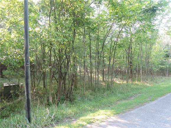 0.92 Acres of Residential Land for Sale in Youngstown, Ohio