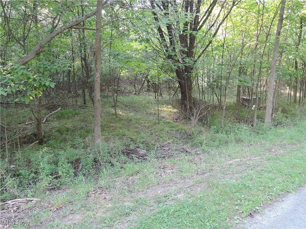 0.86 Acres of Residential Land for Sale in Youngstown, Ohio