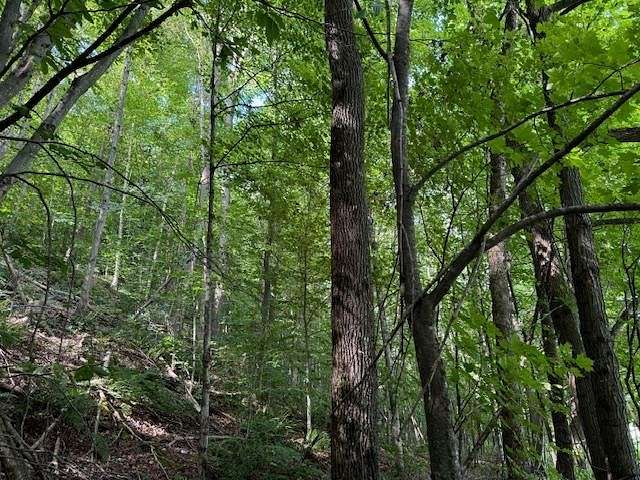 32 Acres of Land for Sale in Albany, Vermont