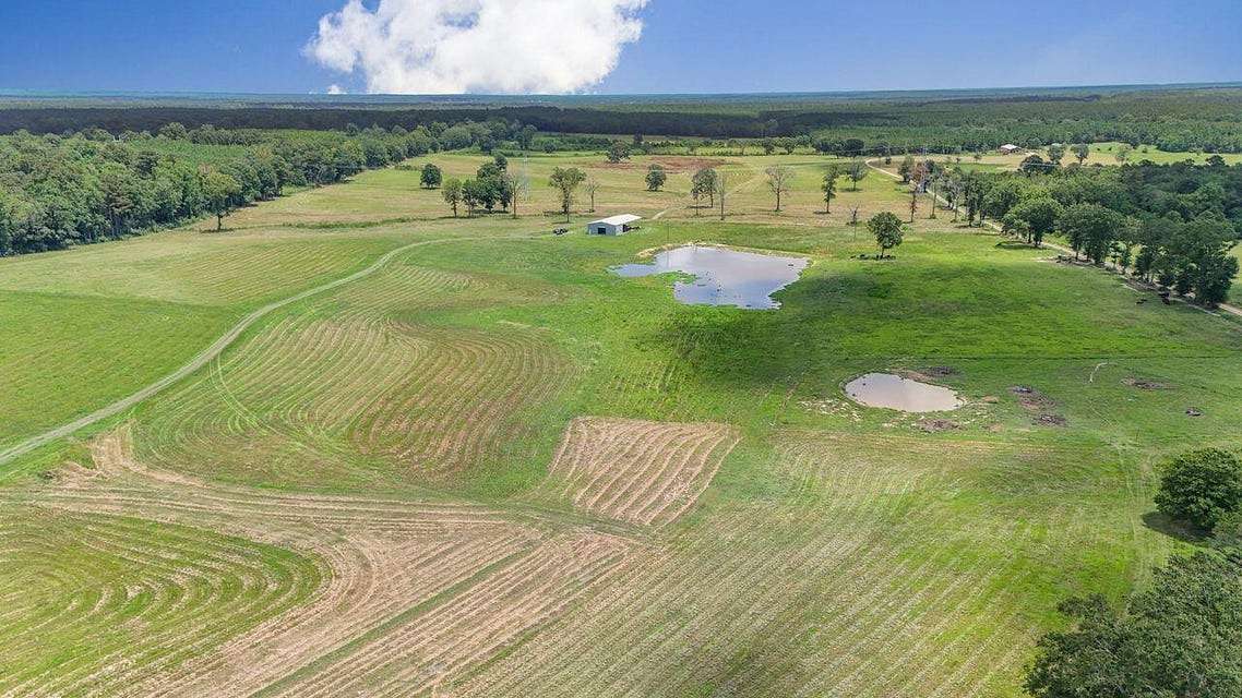 157 Acres of Agricultural Land for Sale in Poplarville, Mississippi