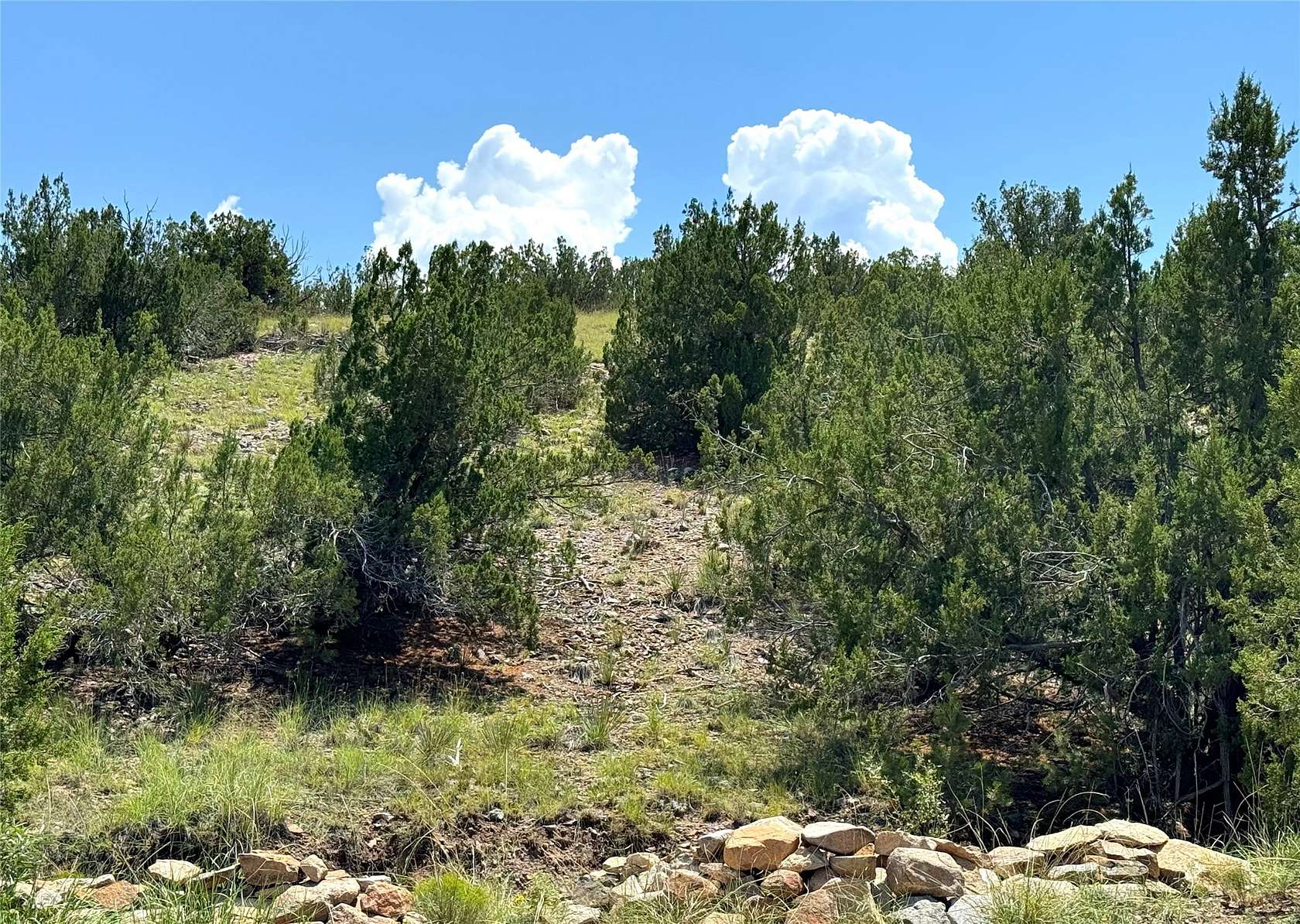 3.64 Acres of Residential Land for Sale in Cerrillos, New Mexico