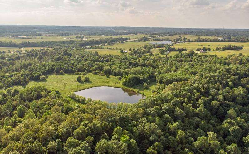 123 Acres of Recreational Land for Sale in Hartford, Kentucky