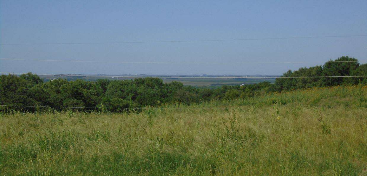 3.05 Acres of Residential Land for Sale in West Point, Nebraska