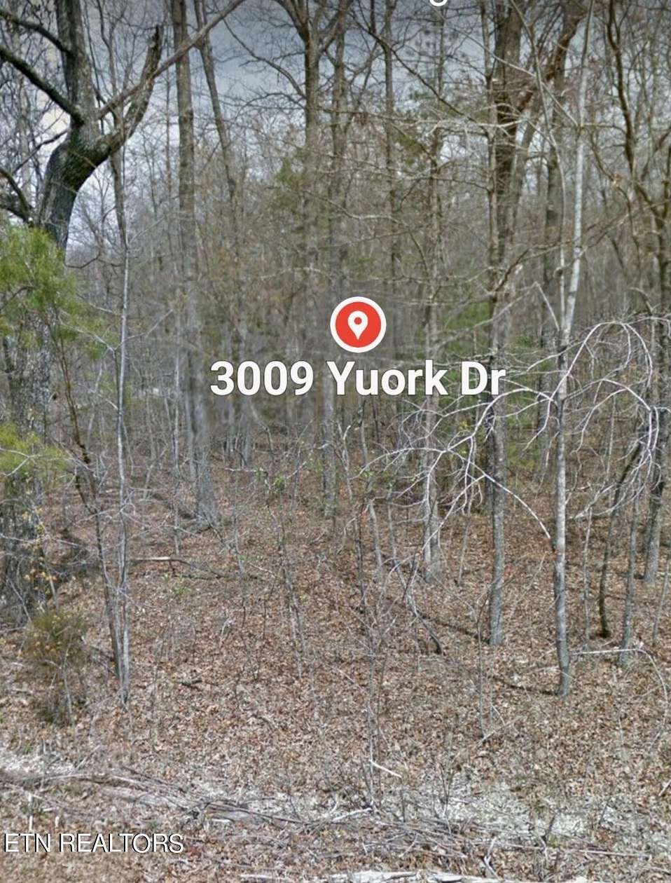 0.29 Acres of Residential Land for Sale in Crossville, Tennessee