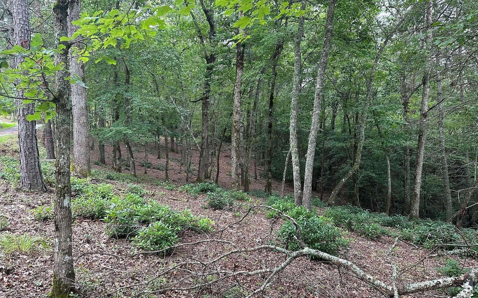 1 Acre of Land for Sale in Warne, North Carolina