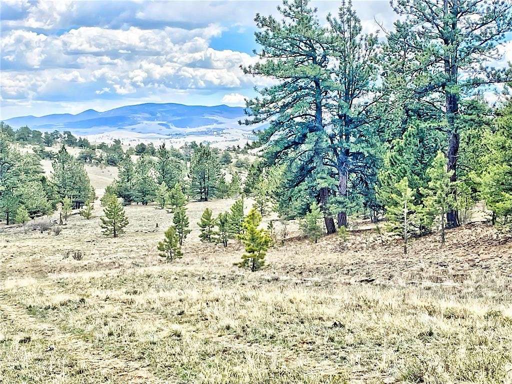 2.83 Acres of Residential Land for Sale in Hartsel, Colorado