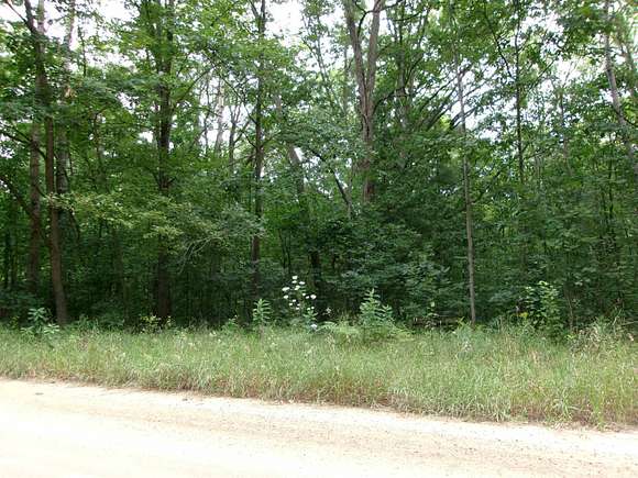 5 Acres of Land for Sale in Lake, Michigan